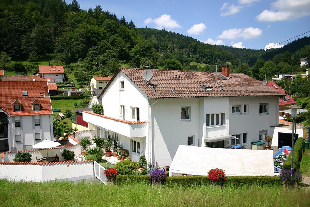 Apartmenthaus Zum Löwen Heidelberg - Ziegelhausen Exterior foto