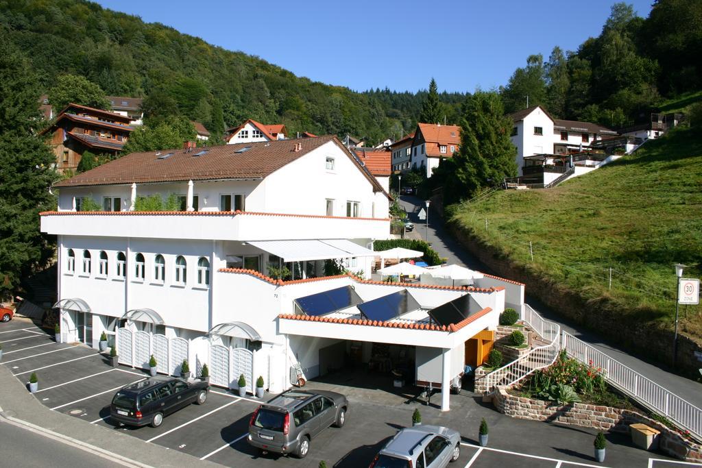 Apartmenthaus Zum Löwen Heidelberg - Ziegelhausen Exterior foto