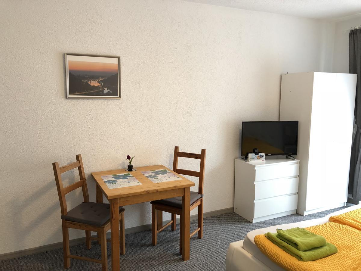 Apartmenthaus Zum Löwen Heidelberg - Ziegelhausen Exterior foto